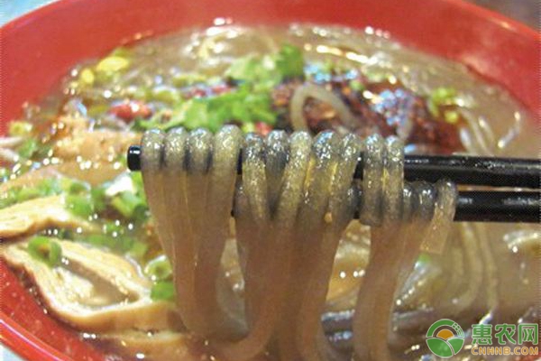 今日红薯粉价格多少钱一斤？选购正宗红薯粉的五大技巧