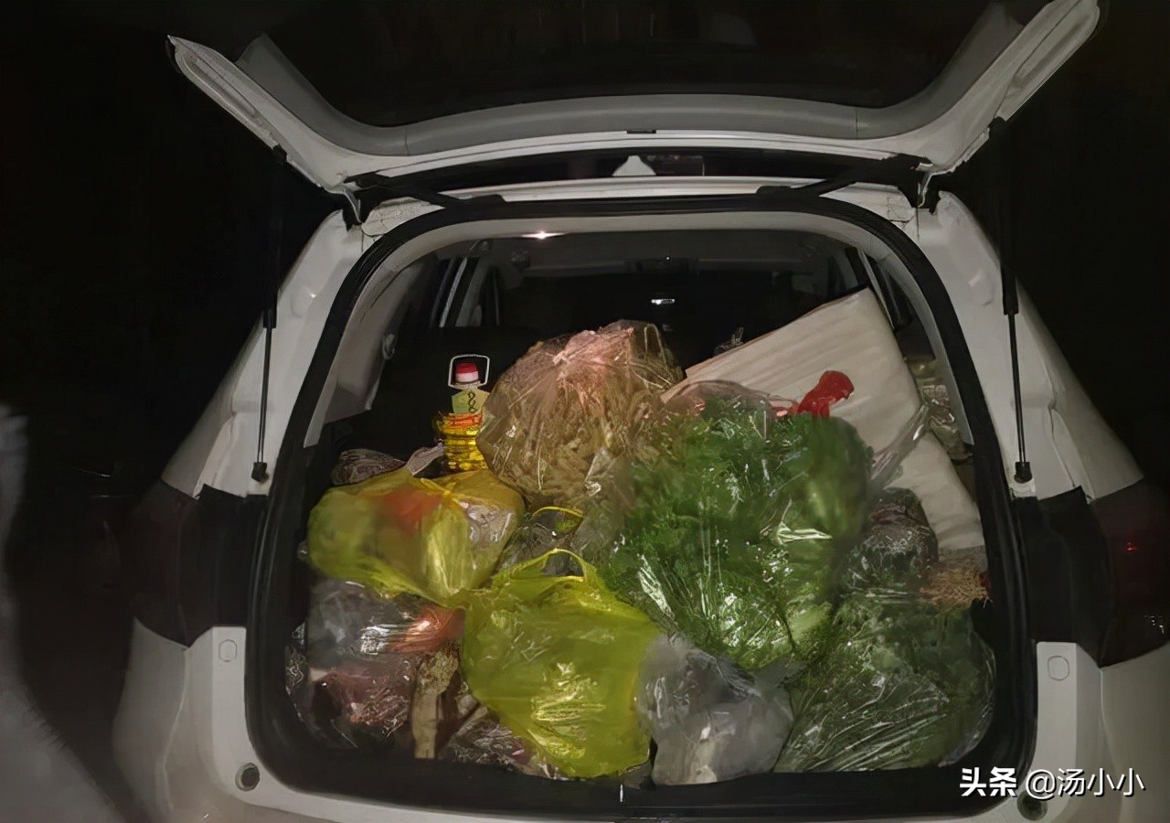 回老家后备厢装满了萝卜白菜(回老家后备厢装满了萝卜白菜汤)