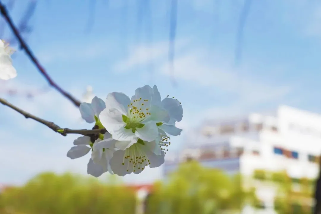 天津大学2022EMBA（深圳）招生简章