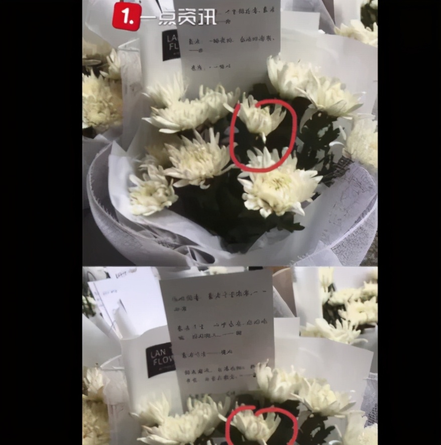 两只老虎咬死饲养员，被警方击毙【三分钟法治新闻全知道】