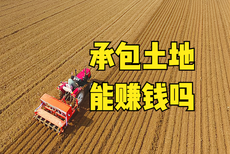 现在农场做什么最赚钱，种小麦和水稻哪个赚钱？