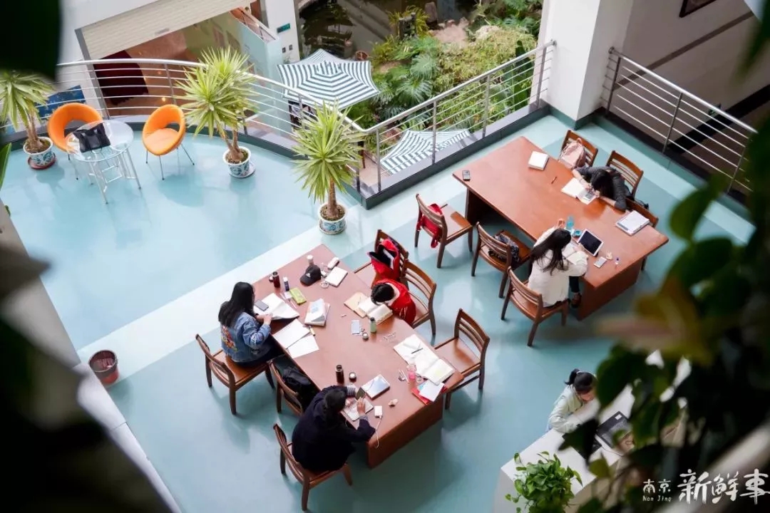 坐标南京，偶像剧拍摄打卡地！2019高考志愿填报，向这所