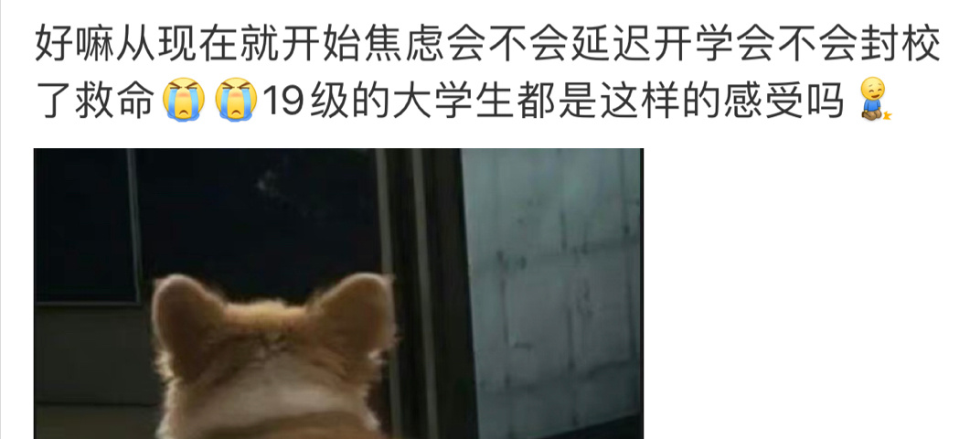 19级大学生的痛，你们可能从来没有体会过，稀里糊涂就上大三了