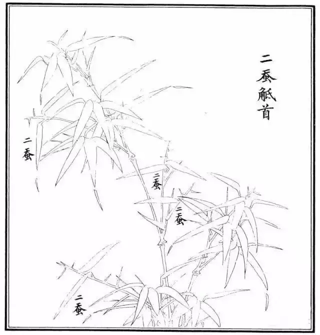 零基础学画竹子：简单步骤轻松上手