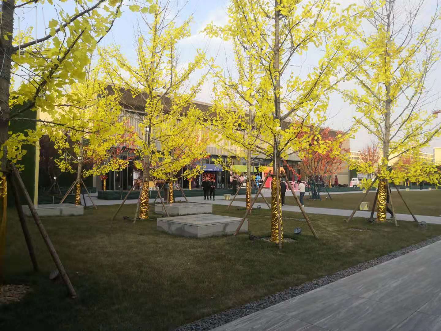 红星天悦：年底最后的狂欢？