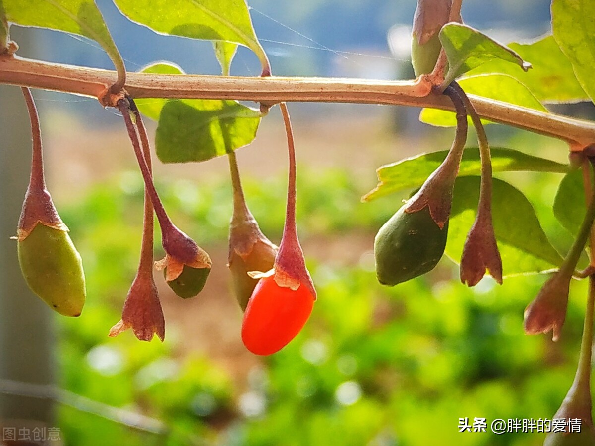 人在旅途，感悟人生，享受人生；风华一指流沙，苍老一段年华