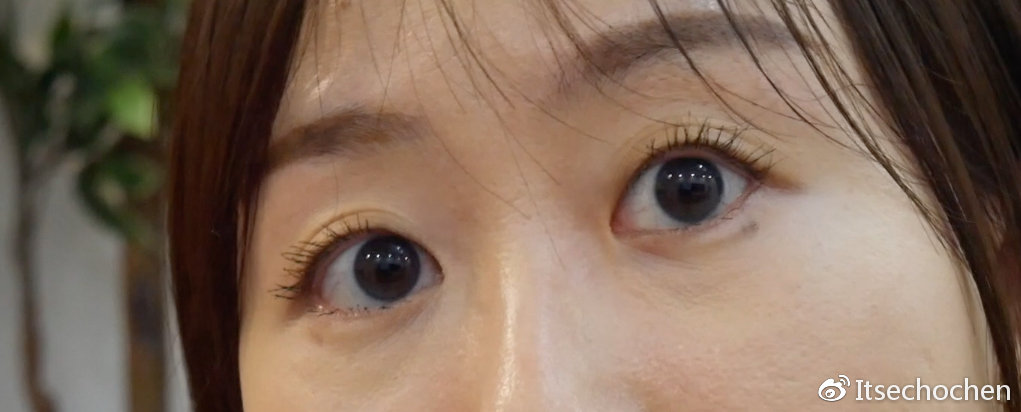 北美爆火睫毛膏 欧莱雅vs经典kissme 对比测评