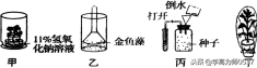 2018年人教版七年级上册生物期末试题及答案