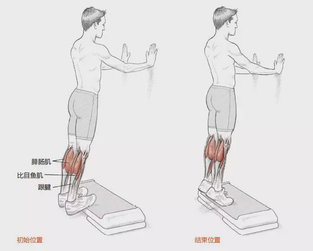 跑步容易受傷？7大練習動作預防跑步損傷