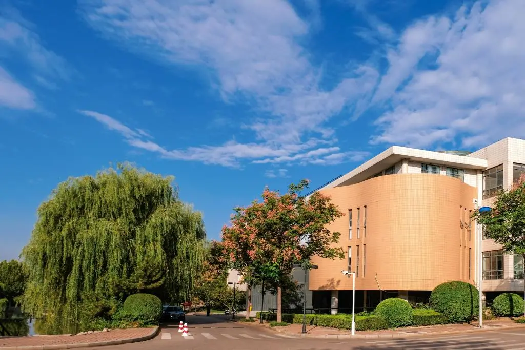 艺考生文化课短板问题被破解？这些大学艺术类专业录取分数超友好