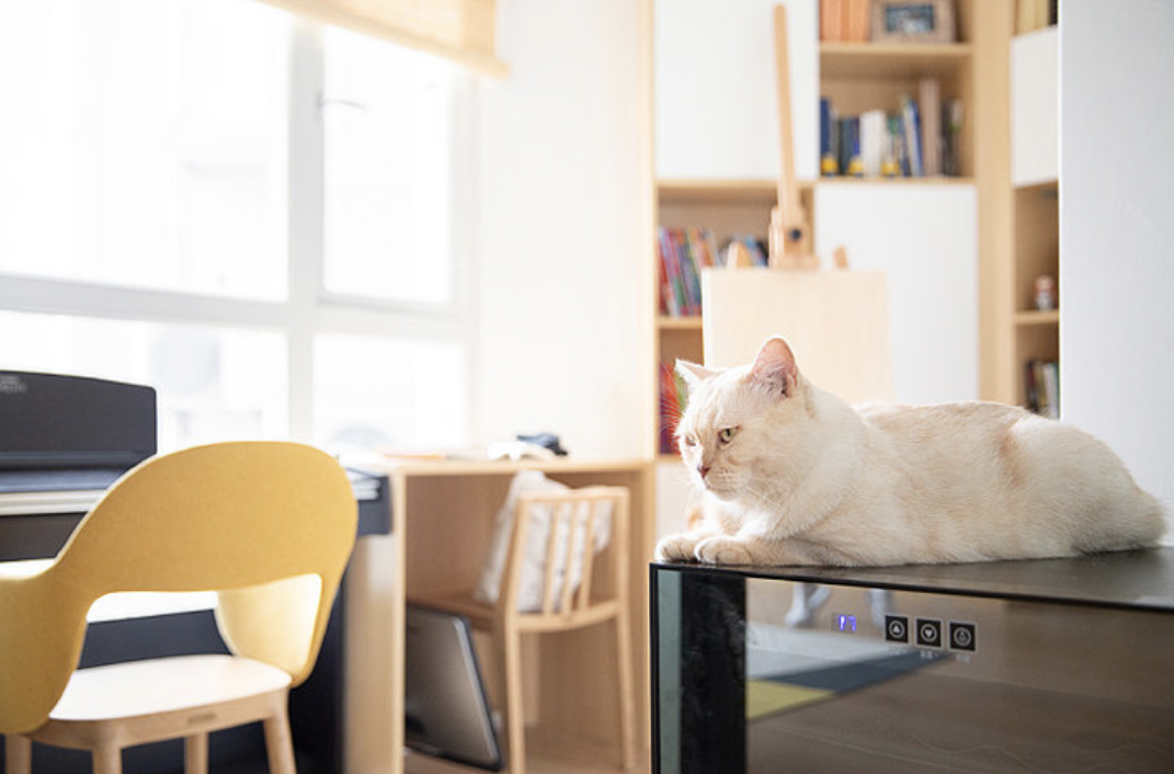 他家17个设计细节，堪称“装修教科书”，步入室内让我极度舒适