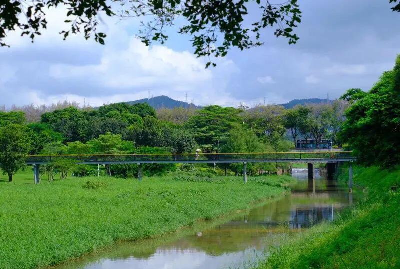 深圳哪里有足球比赛看免费的(深圳十大免费花海公园)