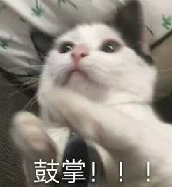 狂野中最靓的仔：至暗术操作指南