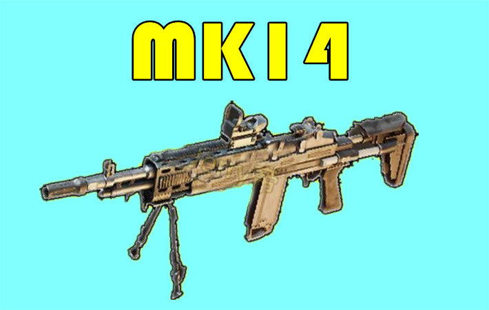 大菠萝是什么枪(cs大菠萝是什么枪)