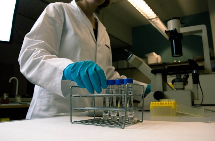 18年还没毕业？东北大学清退52名博士，清退博士现象普遍？