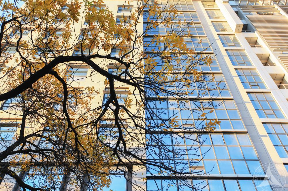 发布！2021中国大学学科水平排名