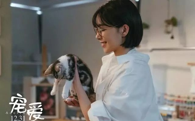 安英老公(《宠爱》六组演员演绎的六个故事,你最喜欢哪一个?