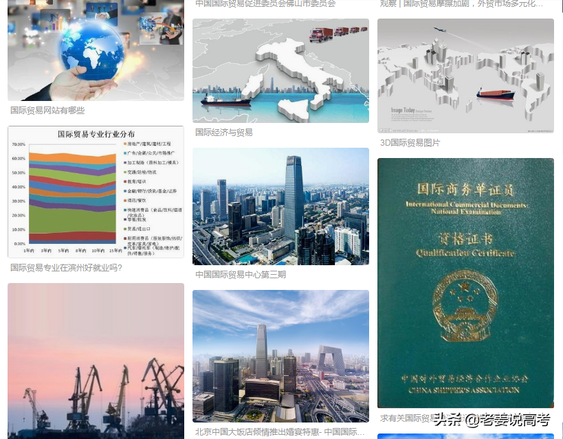 一带一路的先行者，中国制造的传播者，国际贸易专业介绍