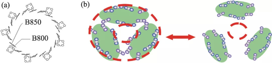 一篇论文背后的故事