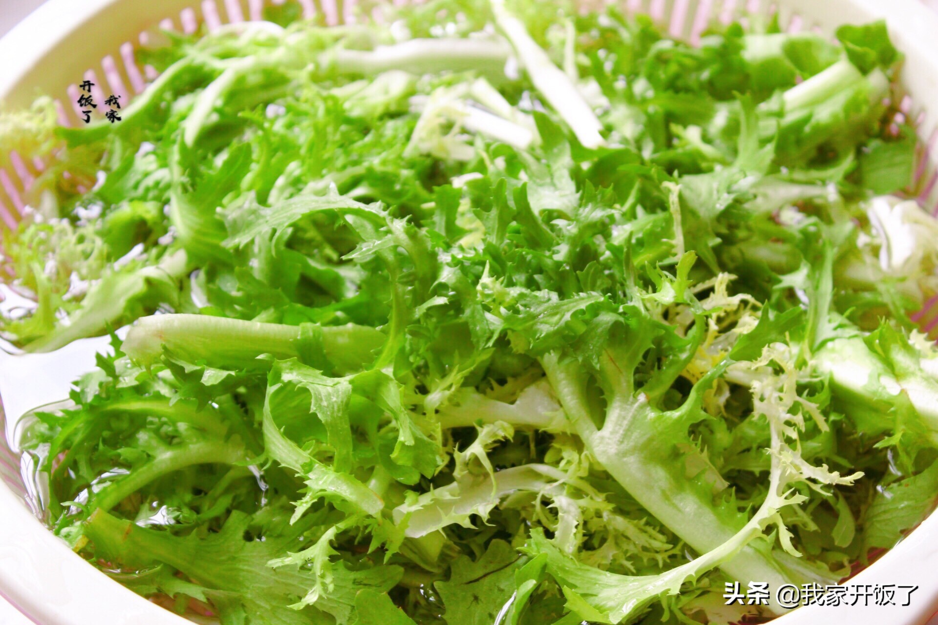 苦菊发苦不好吃?教你新吃法,上笼一蒸,出锅比肉香,盘盘吃精光