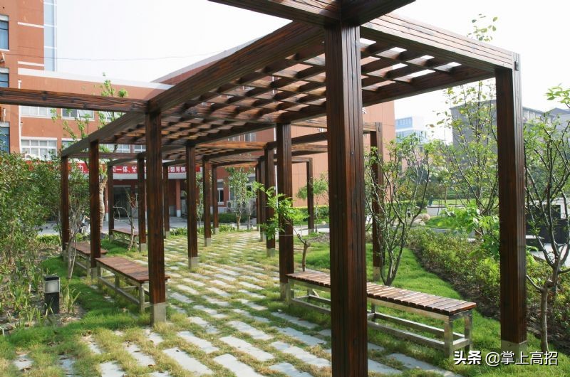 高考报考｜解说国内大学的“江湖称号”（二）