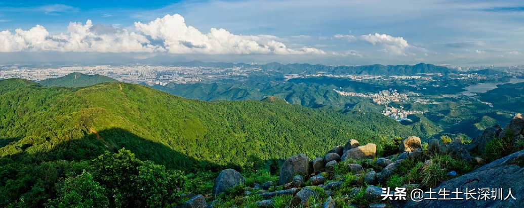 深圳这些山你肯定没少爬，但它背后的含义你知多少