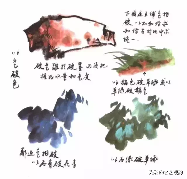 国画技法 | 写意花鸟画色彩技法详解之染色方法
