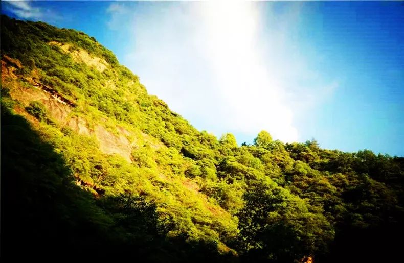 散文随笔●淡淡的乡愁