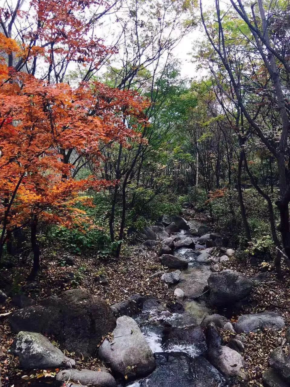 节气|霜降。