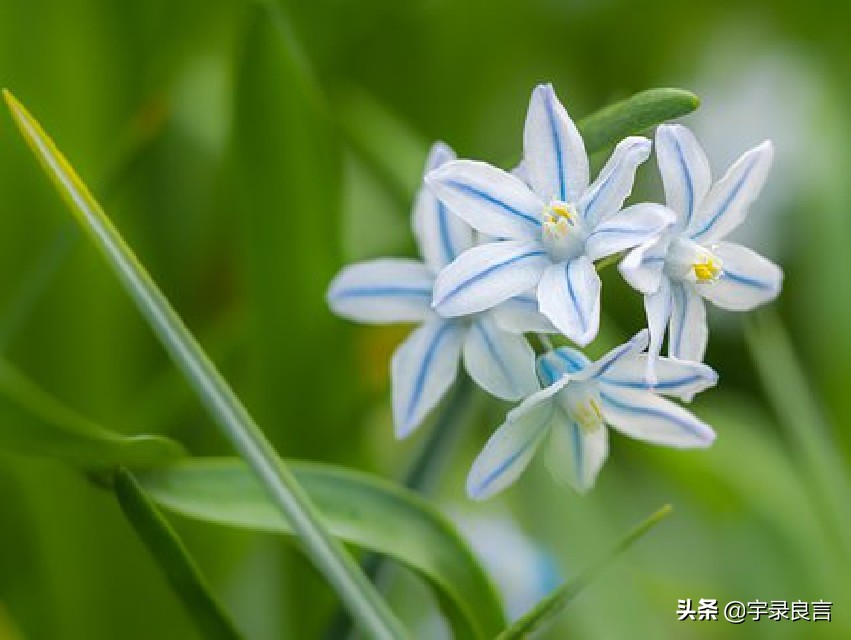 唯美正能量的优美句子摘抄，唯美励志的句子，好听精辟励志句子