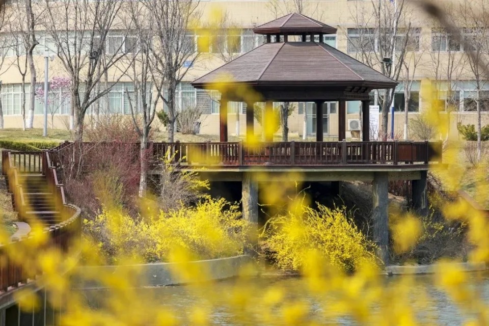 向往的大外 | 打卡大外网红景点