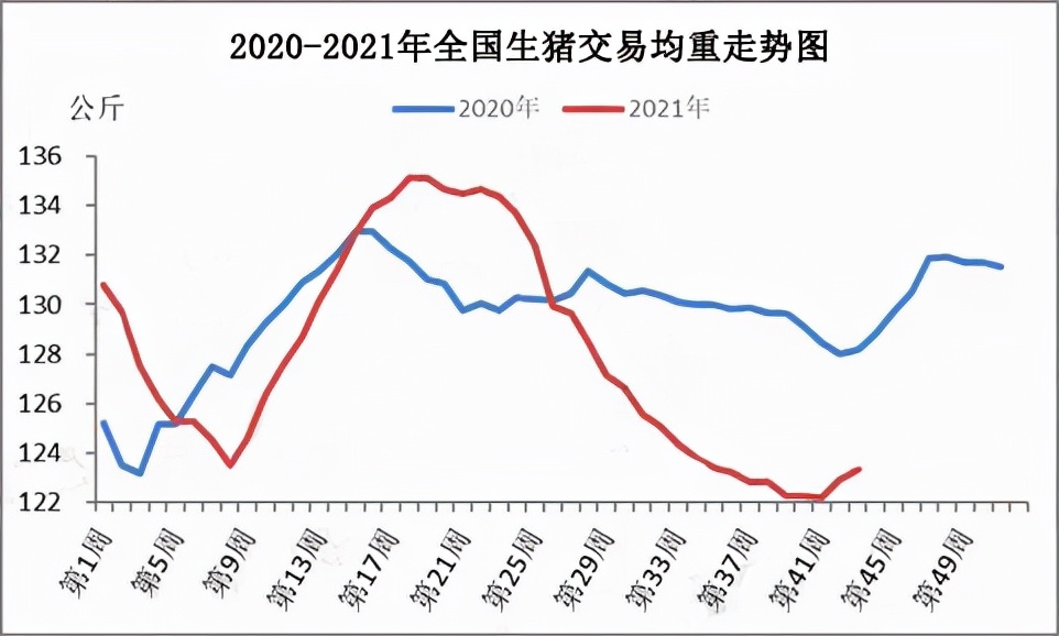 供需博弈加剧，生猪价格触顶回落，未来行情走势如何？