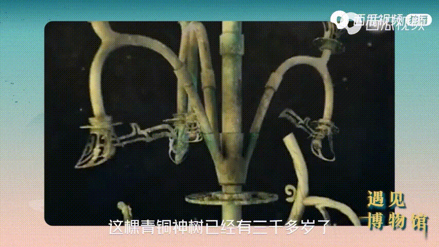 三星堆神树、西汉铜镜、毛公鼎…… 西瓜视频上到底有多少大宝贝？
