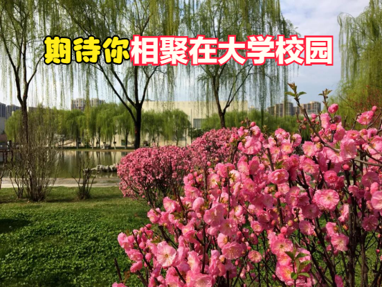 西安石油大学VS西安邮电大学，公办本科保底院校艺考生你选谁？