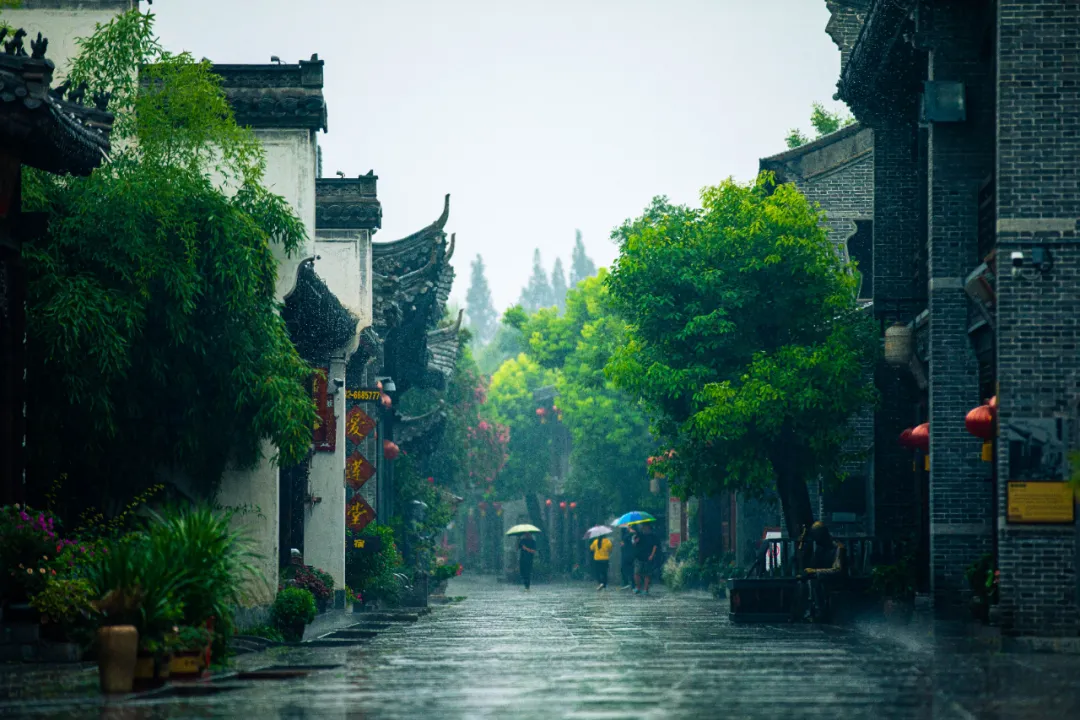 古城的雨 | 碧波画舫听雨眠，风止雨霁踏秋来