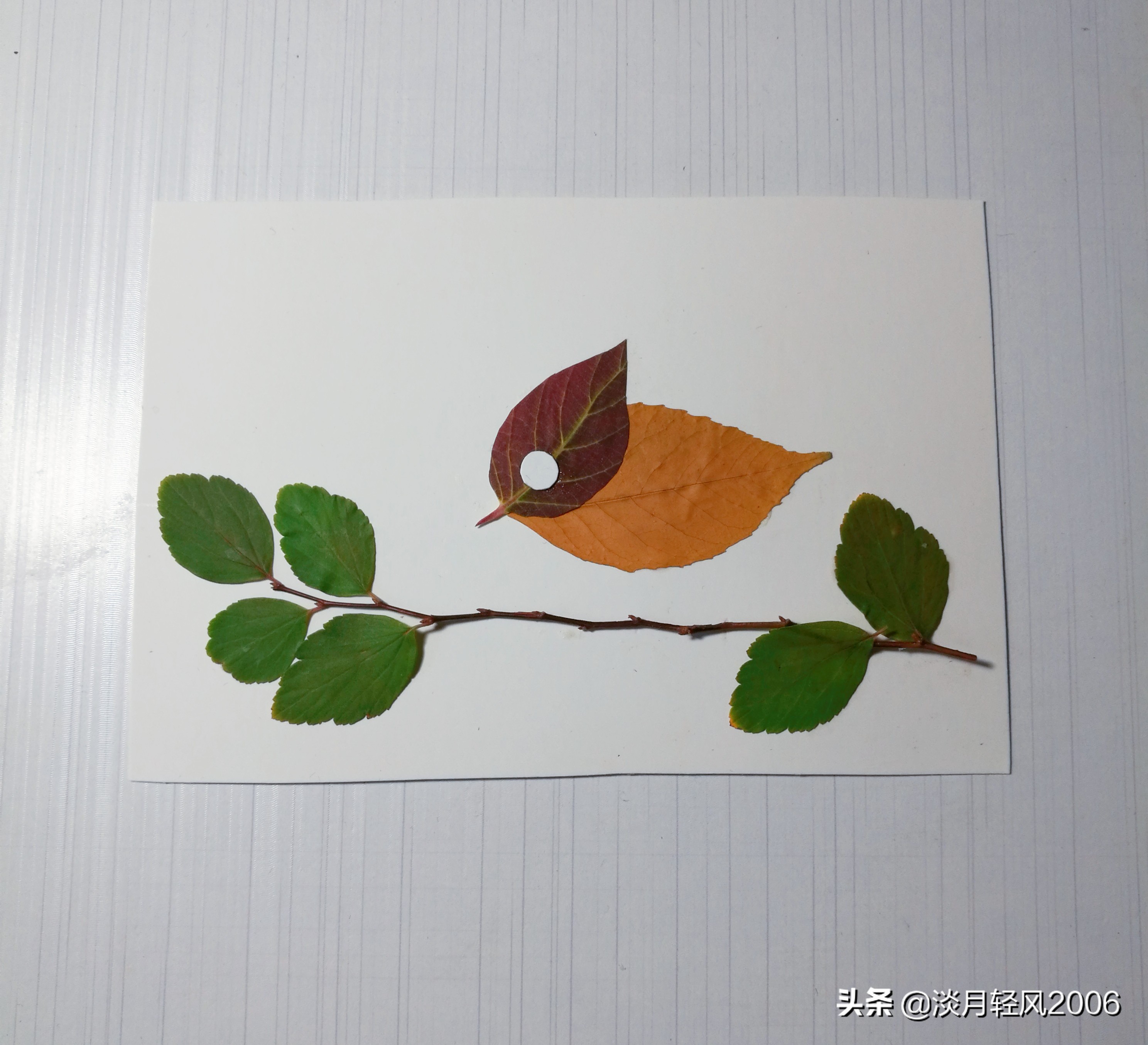 用树叶做的手工贴画简单可爱的叶贴小鸟教程
