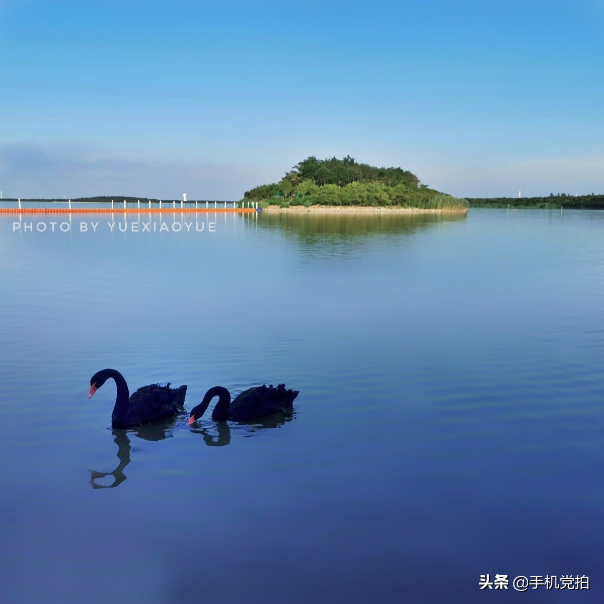 普通身边景，手机拍出新感觉｜教你5招拍好“镜像”画面