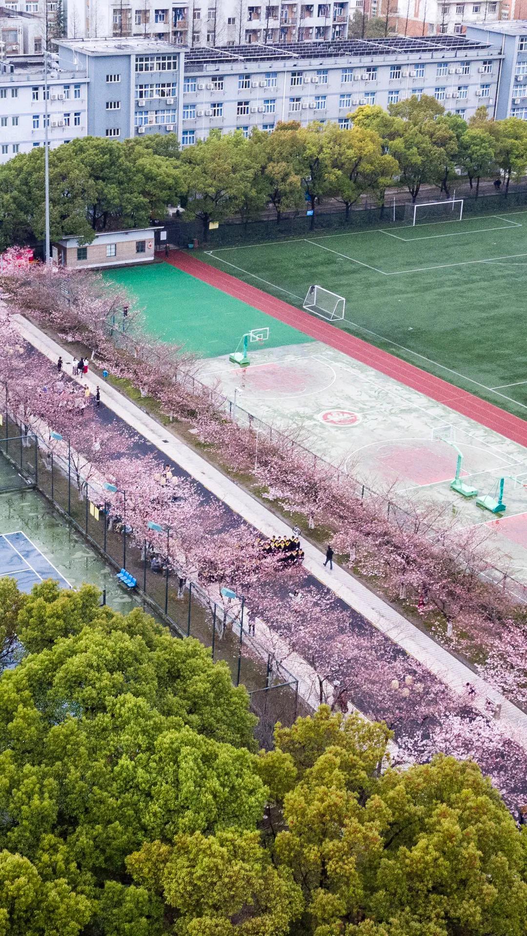 同济大学四平路校区 同济大学四平路校区介绍-徐拾记官网
