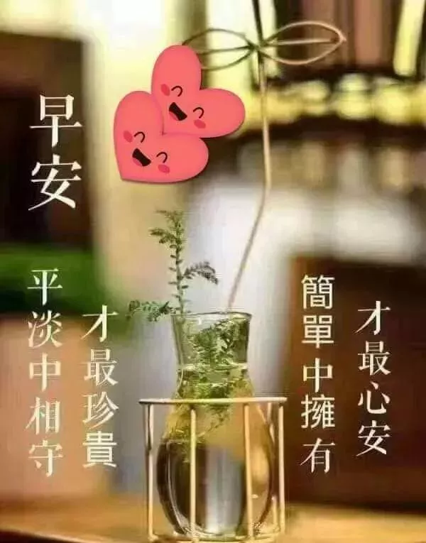 一双手，把人生的风雨撑起；一颗心，把情感的厚度浸透。早安