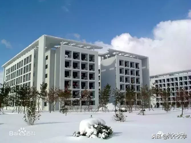 几个大学2019｜威海职业学院