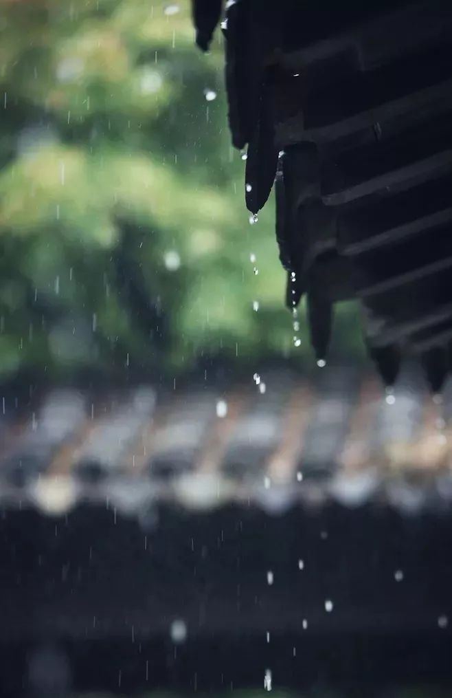 散文:一场秋雨一场诗意的凉