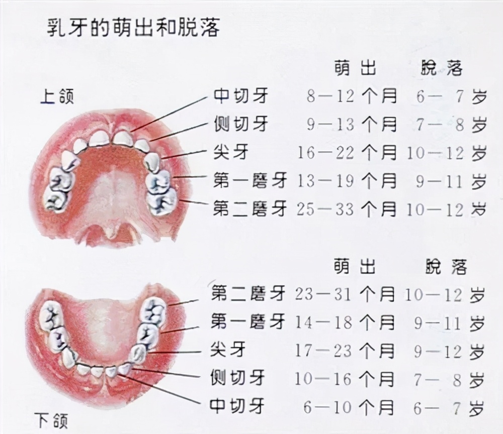 小孩换牙时间(一般小孩几岁换牙齿)