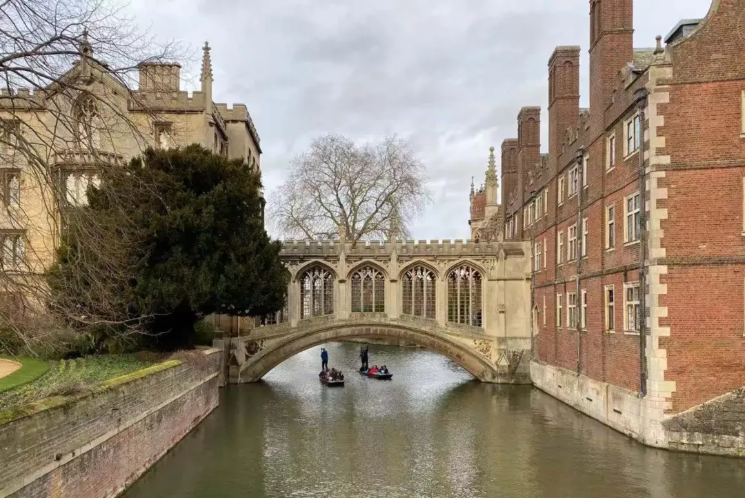 英国各大学高考录取线公布！好学校都要600分以上？