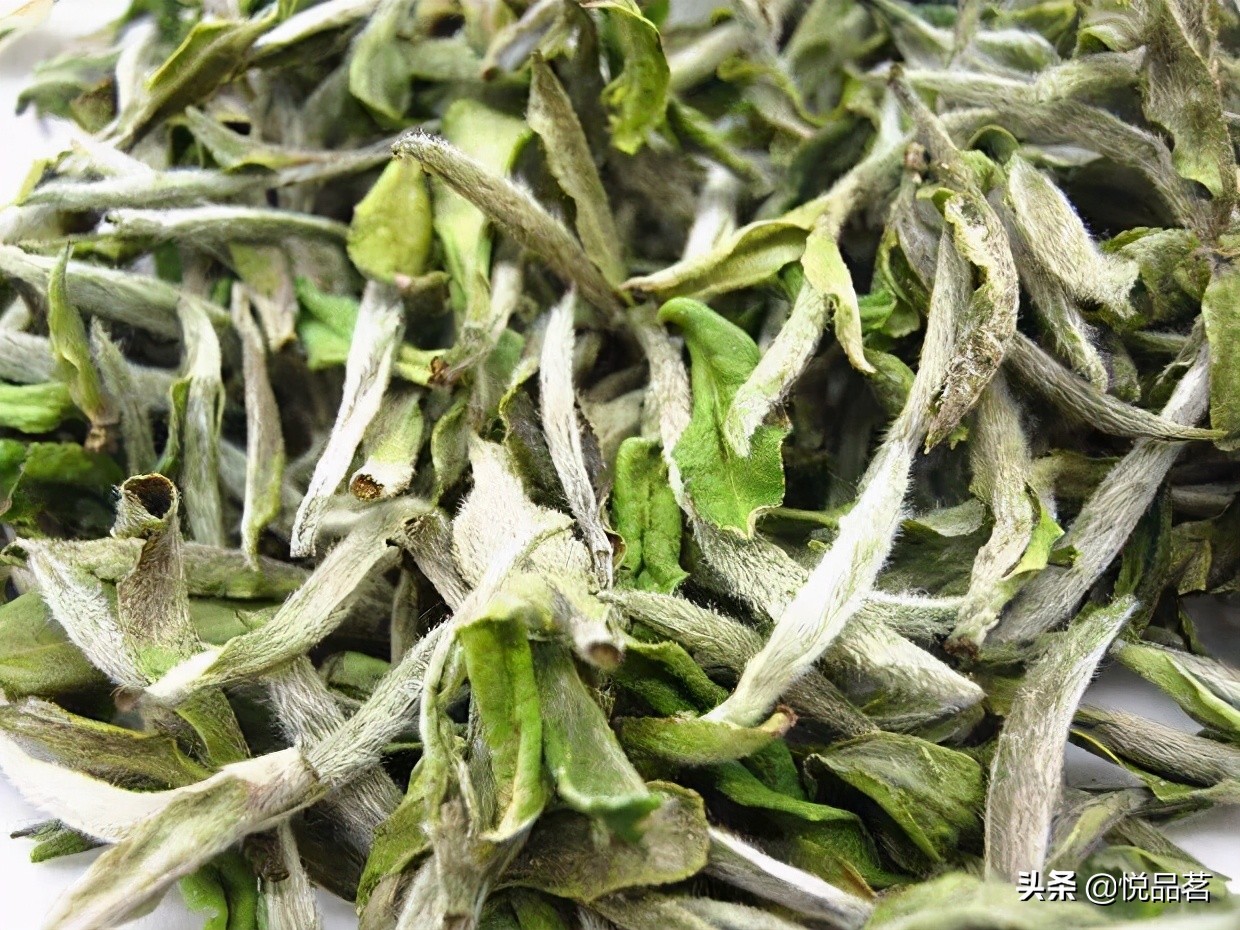 白牡丹茶属于什么茶类(白牡丹茶图片)-币圈之家