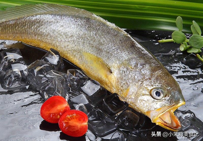 清江鱼有刺吗（这6种鱼肉嫩刺少味道好营养高遇到别手软）