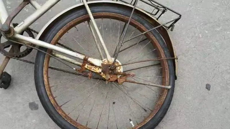 珠海女大学生刚拿驾照，开车回校途中撞死老伯！车上两同学却说没看见！