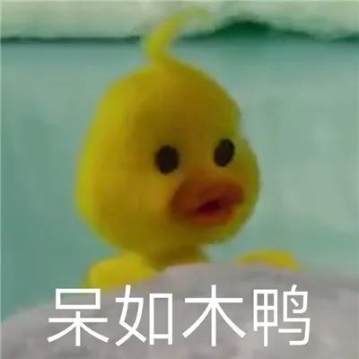 表情包 | 小黄鸭系列表情图片