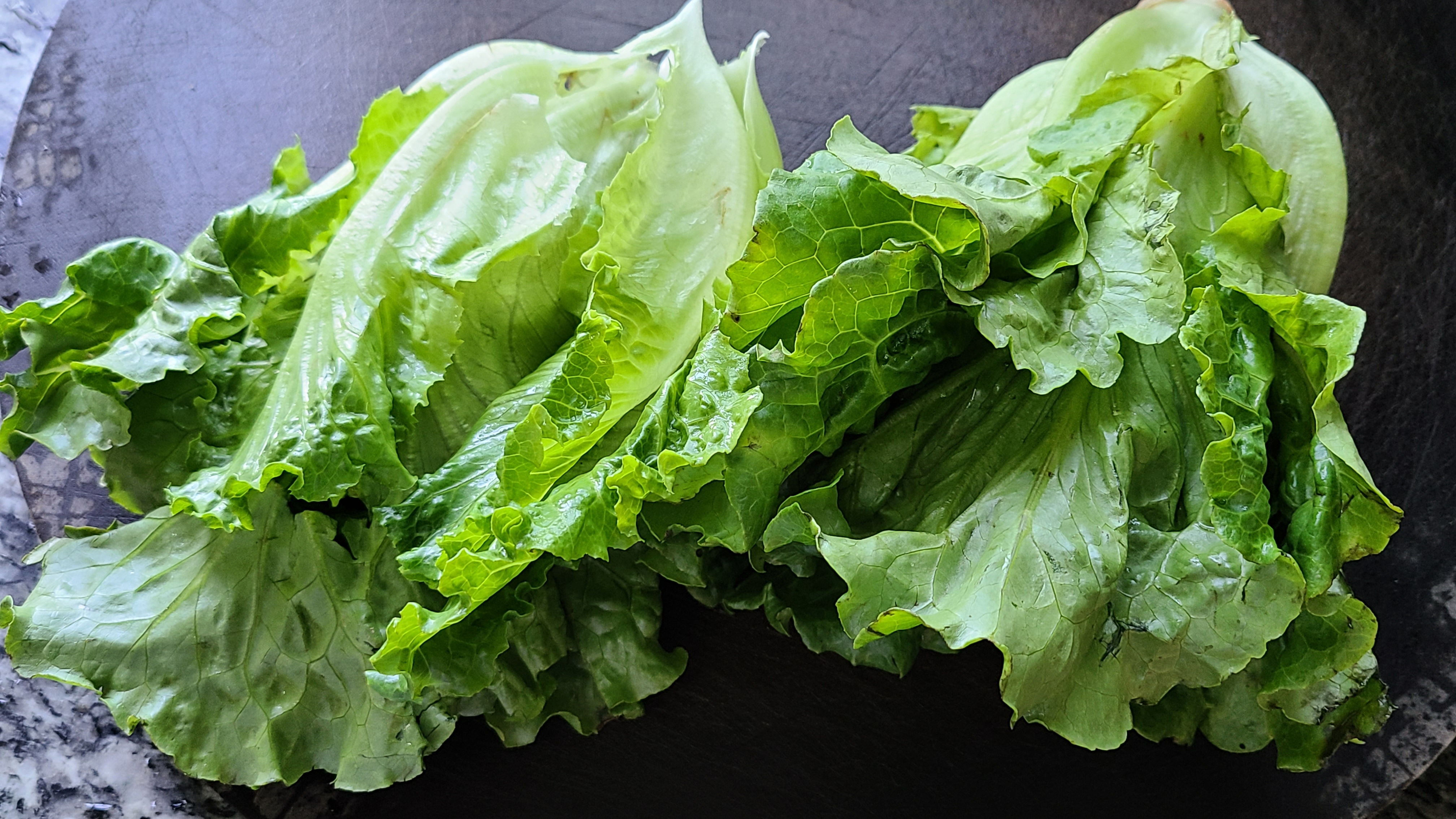 生菜的做法步骤,白灼生菜家常做法