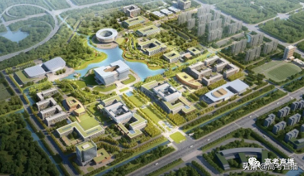 录取分很低？28所新大学今年秋季开始招生！（本专科都有）