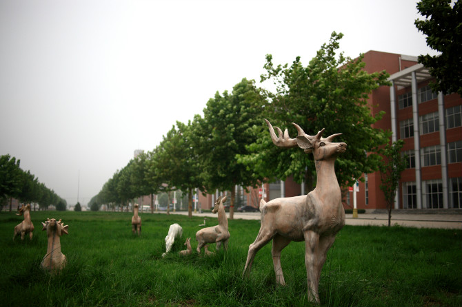 我的大学---------河北政法职业学院